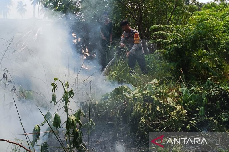 Polri telah tetapkan 113 orang sebagai tersangka kasus karhutla